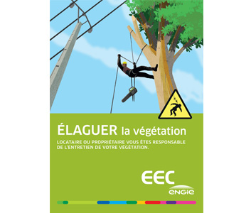 élagage  nouvelle calédonie